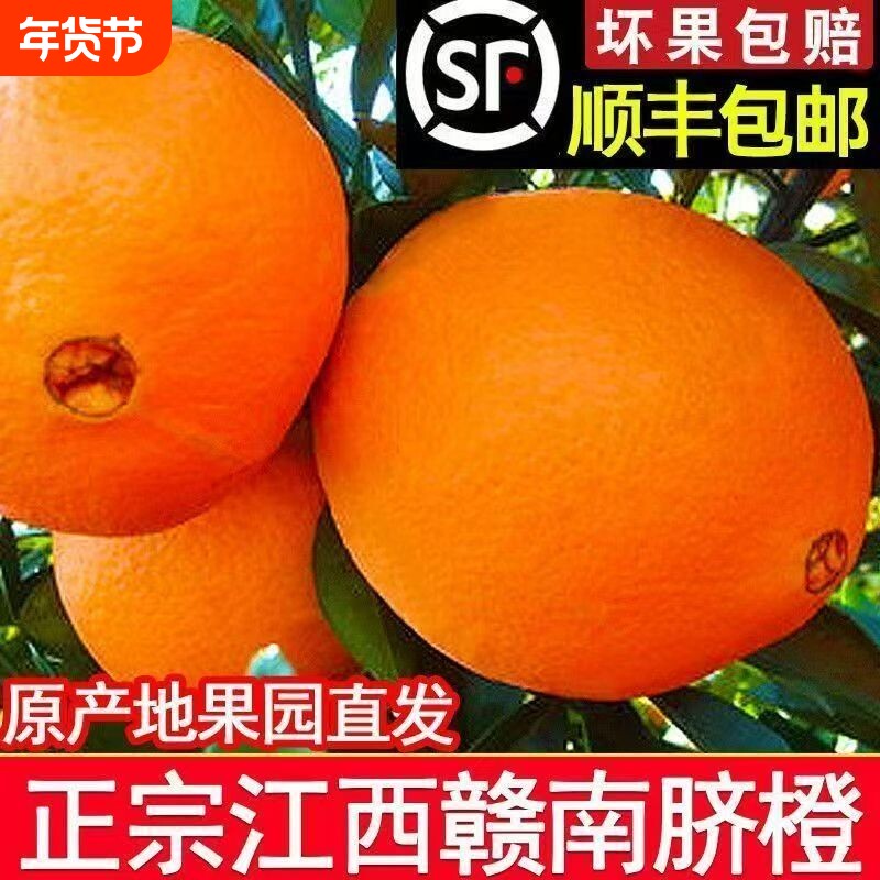 【顺丰包邮】正宗赣南脐橙江西赣州橙子新鲜应季整箱当季水果