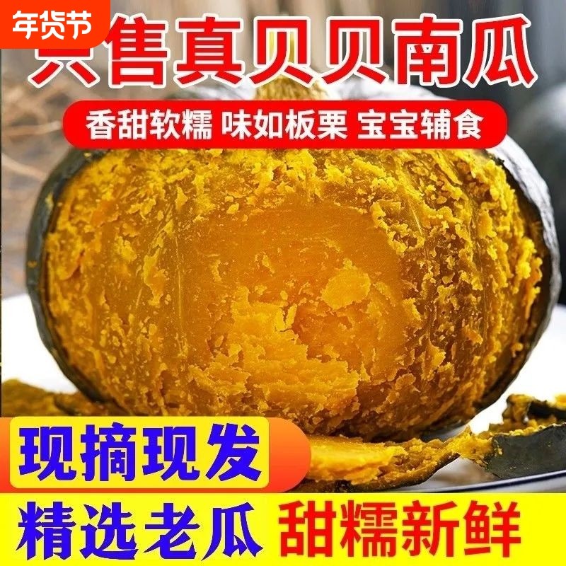山东贝贝南瓜正宗板栗味新鲜老南瓜婴儿孕妇粉糯香甜辅食惠和