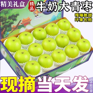 5斤礼盒 现摘新鲜贵妃苹果脆枣蜜冬枣水果整箱 正宗牛奶大青枣当季