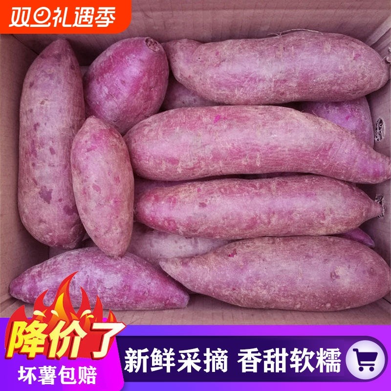 湖北紫薯新鲜红薯农家自种紫罗兰番薯地瓜蜜薯山芋香薯蔬菜沙地
