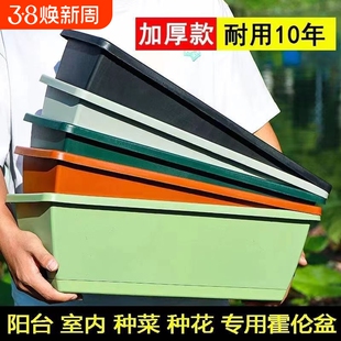 阳台种菜盆种菜神器长方形蔬菜塑料长条花盆槽盆栽种植盆室内种花