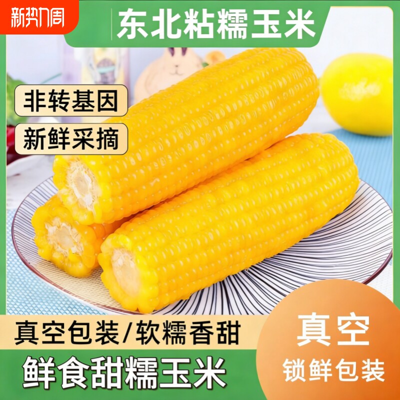 东北黄糯玉米非转基因减脂减肥低脂粗粮代餐早餐新鲜糯玉米真空装