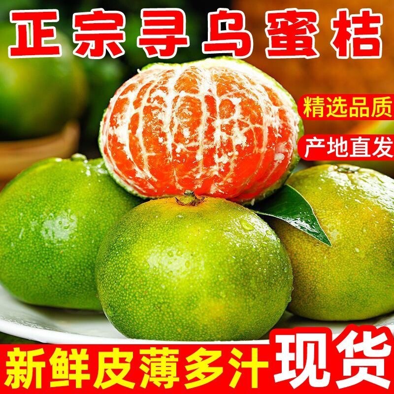 【现货】江西寻乌蜜桔青皮橘子无籽酸甜多汁应季孕妇水果产地直发