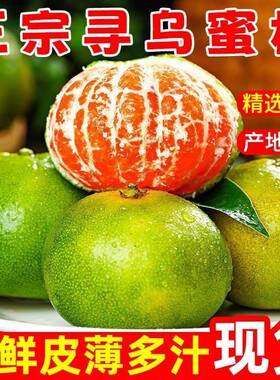 【现货】江西寻乌蜜桔青皮橘子无籽酸甜多汁应季孕妇水果产地直发