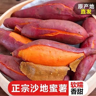 新鲜沙地蜜薯板栗红薯糖心地瓜番薯山芋农家自种现挖龙九黄心香甜