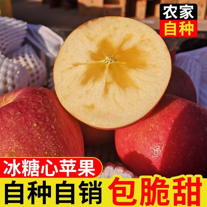 【脆甜爽口】新鲜水果苹果现摘红富士冰糖心丑苹果孕妇水果一整箱