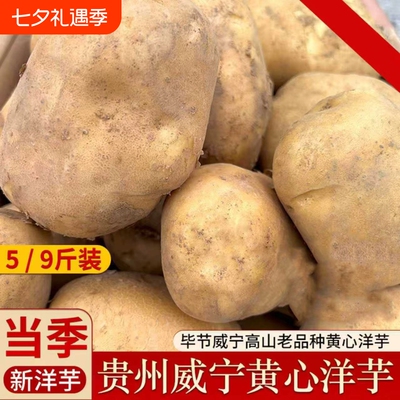 粉糯威宁黄心洋芋|超2000次加购