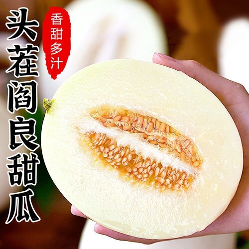 超甜陕西阎良甜瓜5斤新鲜香瓜应季当季现摘时令水果头茬玉菇蜜瓜