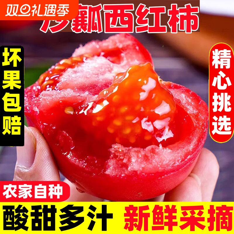 正宗供商超品质沙瓤西红柿