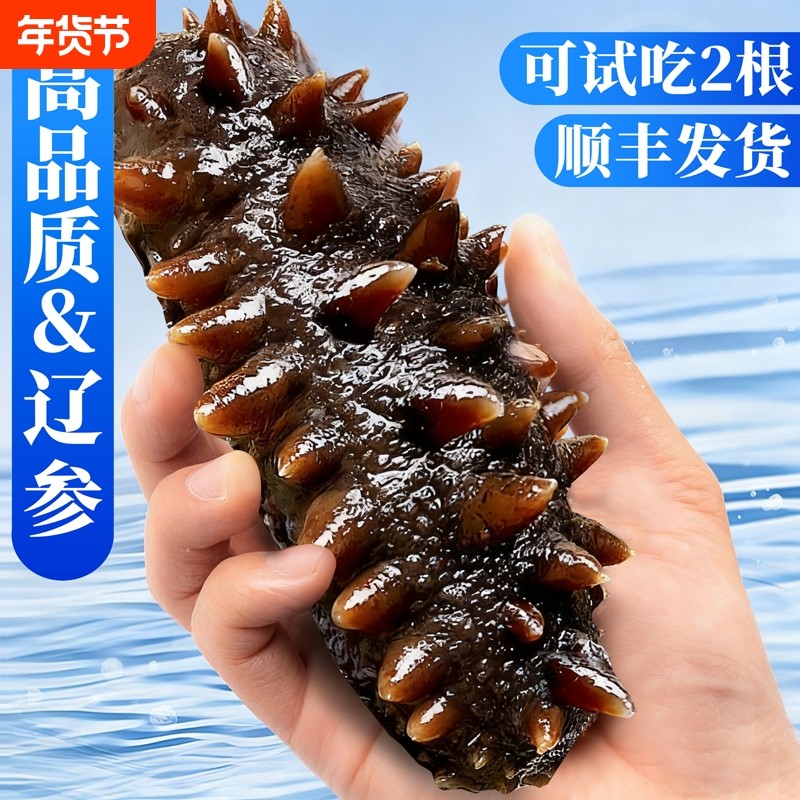 即食海参干货500g特价大连鲜活鲜食辽参海生叁孕妇刺参礼盒单个装