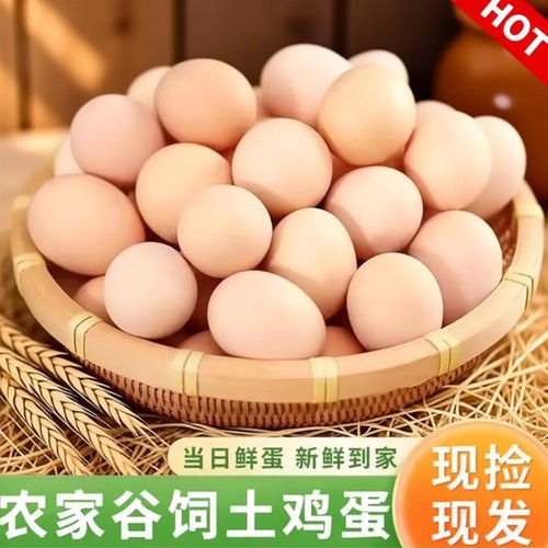 农村散养土鸡蛋50枚正宗农家新鲜柴鸡蛋草鸡蛋现捡现发笨鸡蛋整箱