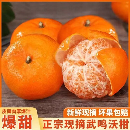 正宗广西武鸣沃柑新鲜水果当季整箱时令沙糖斤蜜橘砂糖柑橘桔子