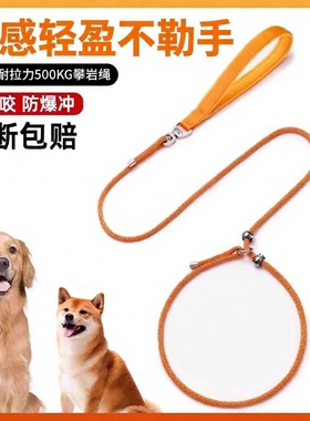 专业训犬防爆冲p绳小中大型犬金毛p链遛狗绳绳狗狗牵引绳防咬训练