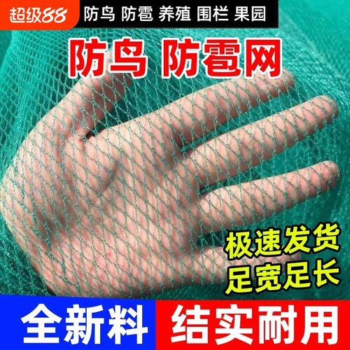 果树防鸟网罩嘉宝树无花果防鸟网防冰雹网果园养鸡围栏蔬菜大棚