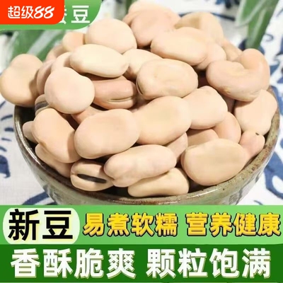 5斤云南白蚕豆批发农家新鲜五谷杂粮蚕豆罗汉豆白皮蚕豆半斤