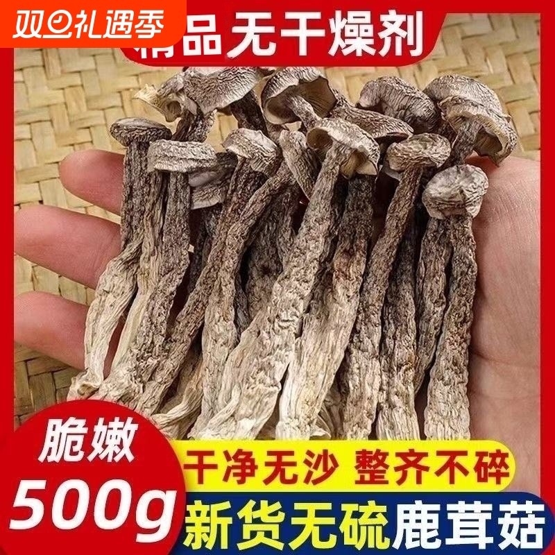 鹿茸菇干货新货特产鹿茸菌菇无干燥剂批发虫草煲汤菌类炖汤香菇