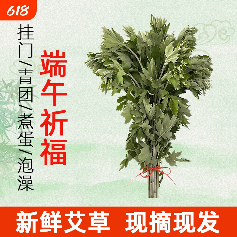 端午节新鲜艾草挂门头整棵门挂花束艾蒿青团儿童泡澡礼品挂件艾叶