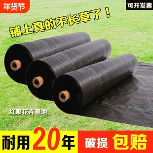 防草布遮草布抗老化果园果树遮草盖草布农用园艺地布耐用透气保湿