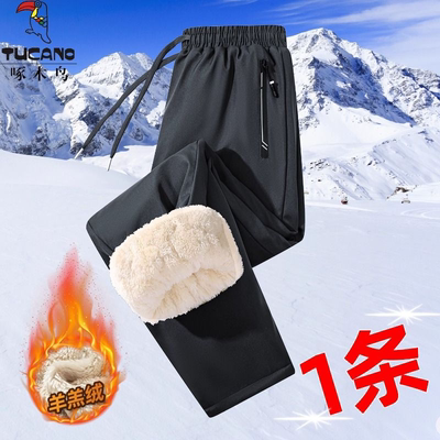 啄木鸟羊羔绒棉裤男士冬季加绒