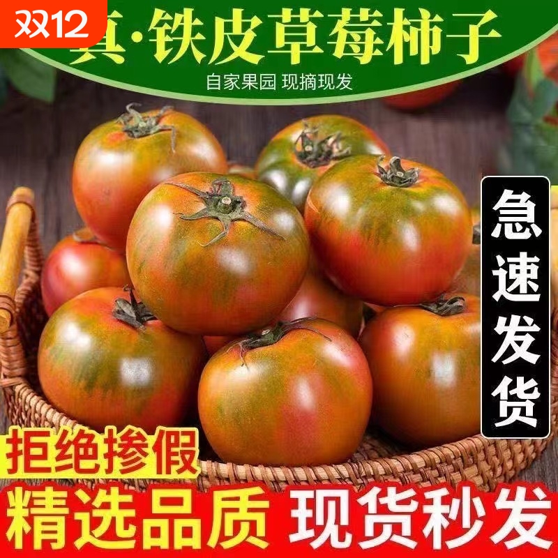 铁皮柿子丹东自然草莓西红柿水果酸甜生吃现摘蔬菜番茄农场甜蜜