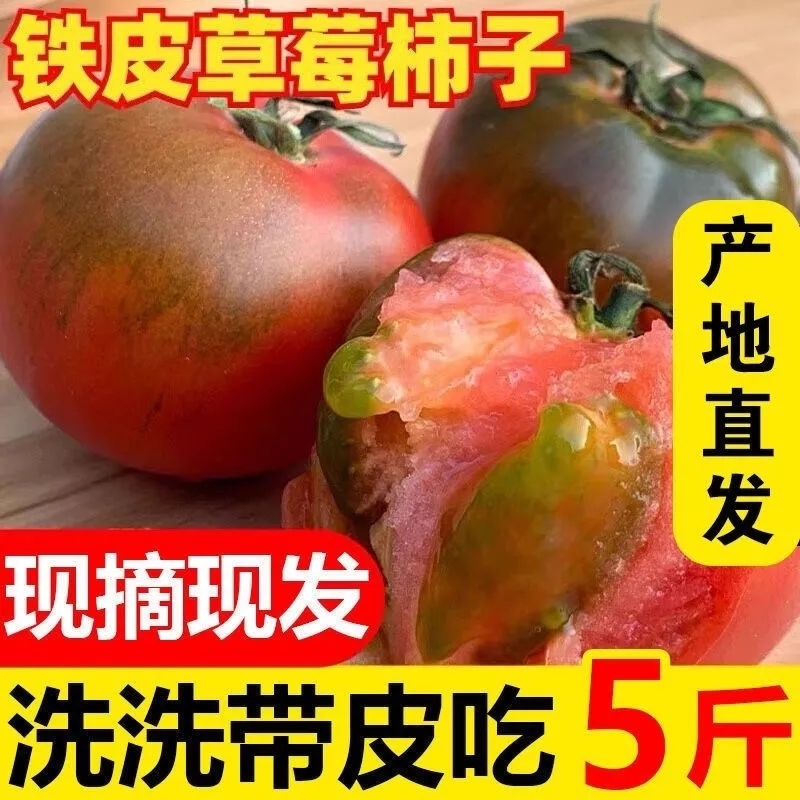正宗铁皮草莓柿子新鲜当季西红柿生吃水果自然熟碱地番茄农场果园