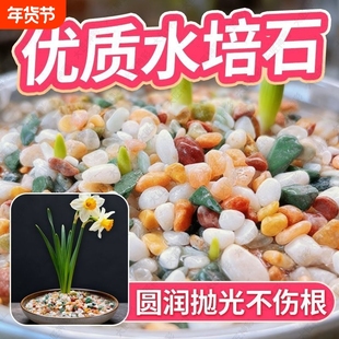 郁金香水培石子鱼缸造景雨花石鹅卵石原石天然大匠神彩铺底石庭院