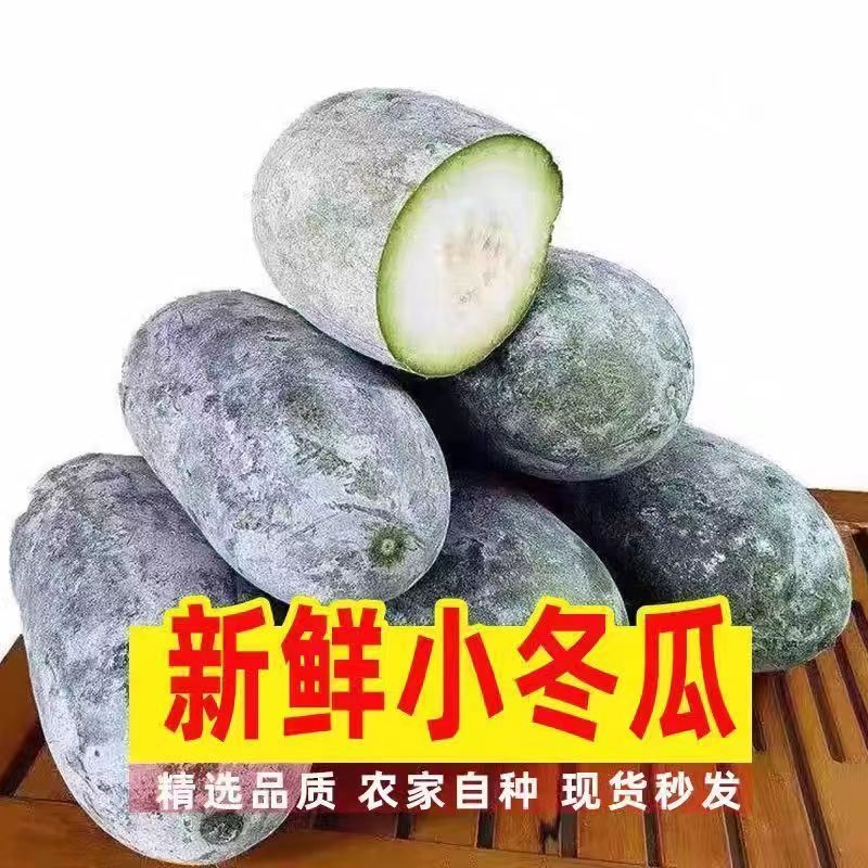小冬瓜新鲜现摘当季脆嫩多汁水果冬瓜农家自种蔬菜包邮5斤