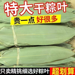 干粽叶粽子叶大宽叶家用端午包粽子专用野生正宗新鲜箬叶批发包邮