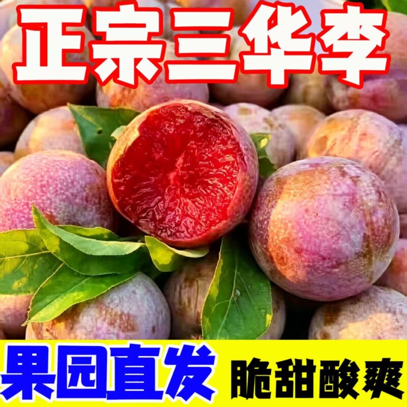 三华李新鲜现摘大果脆甜多汁广西特产红心李水果应季李子孕妇水果