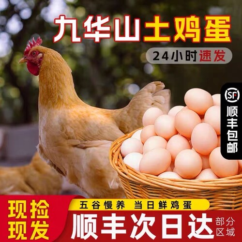 安徽九华山土鸡蛋农家散养笨鸡蛋