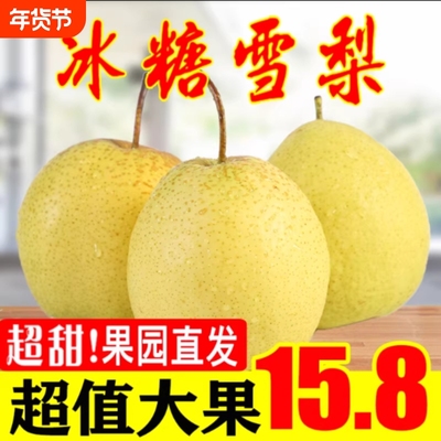 雪花梨赵县新鲜梨包邮雪梨水果新鲜当季梨子新鲜10雪梨整箱5斤9斤
