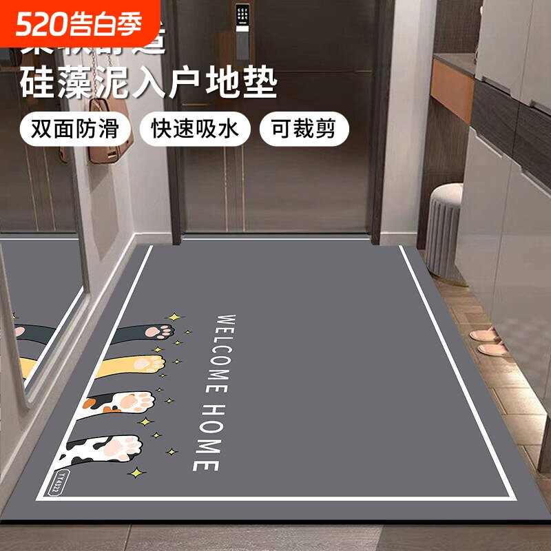 地垫入户门垫进门门口防滑垫子脚垫免洗脚踏垫硅藻泥吸水耐脏室外