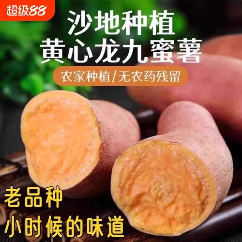 严选正宗龙九黄心蜜薯香甜板栗新鲜10斤番薯沙地烤红薯老品种食用