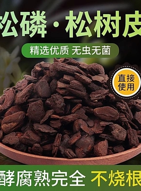 兰花植料发酵腐熟松树皮新西兰进口松鳞蝴蝶兰种植专用土铺面多肉
