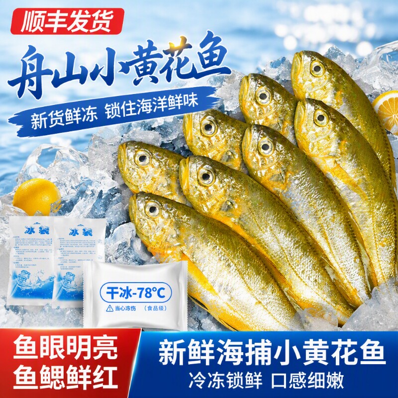 舟山小黄花鱼鲜冻烧烤冰鲜野生深海鲜活黄鱼新鲜商用水产食品鱼肉