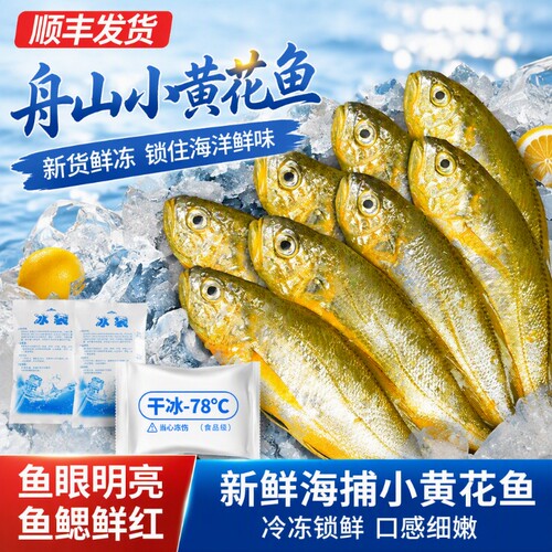 舟山小黄花鱼新货鲜冷冻