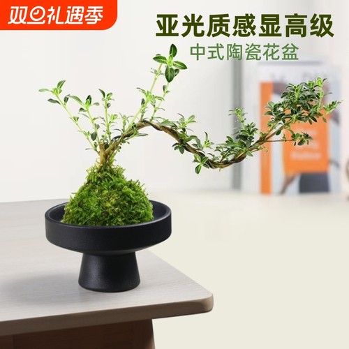 中式亚光陶瓷盆景|超2000次加购