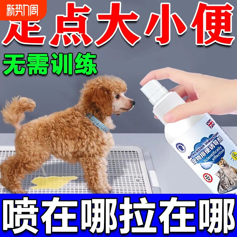 狗狗定点上厕所神器狗定点排便诱导剂防乱尿乱拉屎大小便训练尿垫