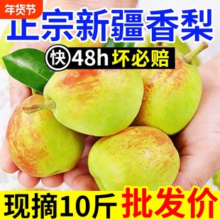 正宗新疆香梨纯母梨新鲜水果梨子薄皮红香酥梨源自库尔勒杂交品种