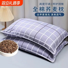 全荞麦皮枕头成人家用学生宿舍颈椎专用纯荞麦壳高枕芯带枕头套男