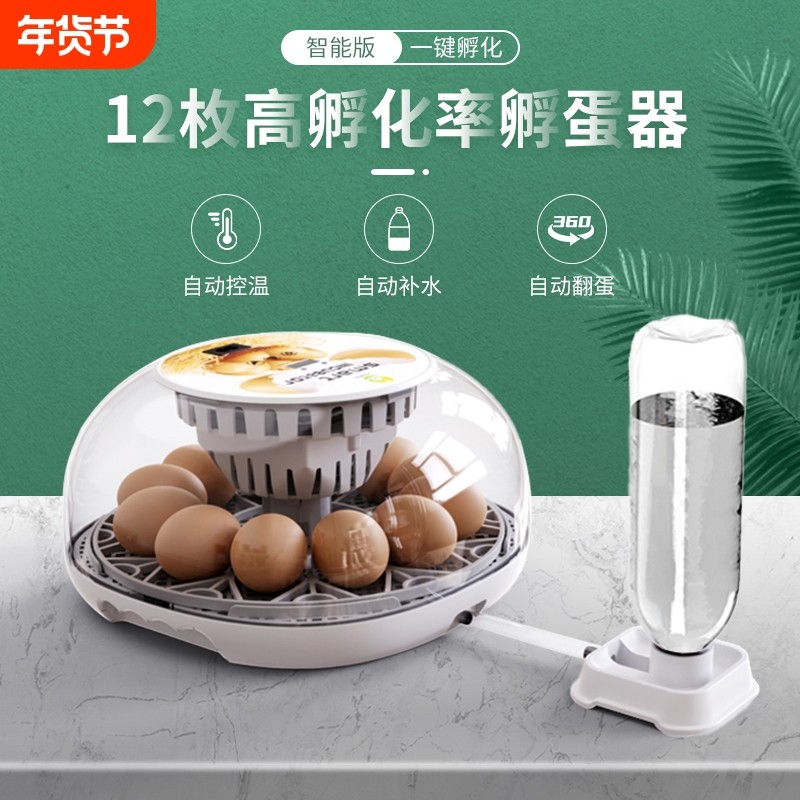 芦丁孵化机孵蛋器小鸡蛋的机器孵化器小型家用型全自动智能孵化箱,五金/工具,电热工具,淘宝优惠券,粉丝福利购,淘宝优惠卷