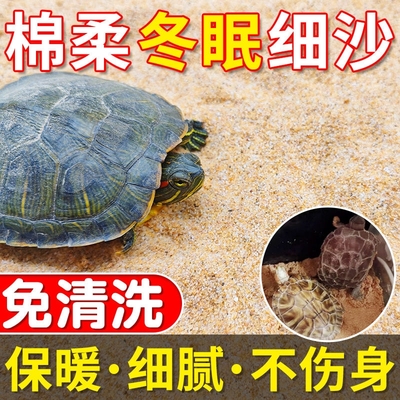 乌龟专用保湿透气河沙芙蓉沙