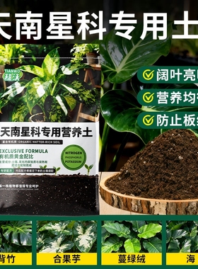 天南星科热植龟背竹专用土海芋花烛泥炭土盆栽颗粒营养土壤疏松