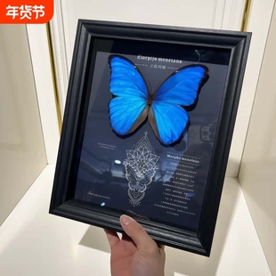 光明女神闪蝶海伦娜蝴蝶喷绘挂画大蓝闪蝶卧室展示框摆件装饰画
