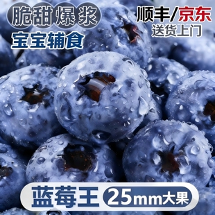 云南蓝莓新鲜水果当季蓝梅现摘高山怡颗孕妇大果整箱顺丰包邮空运