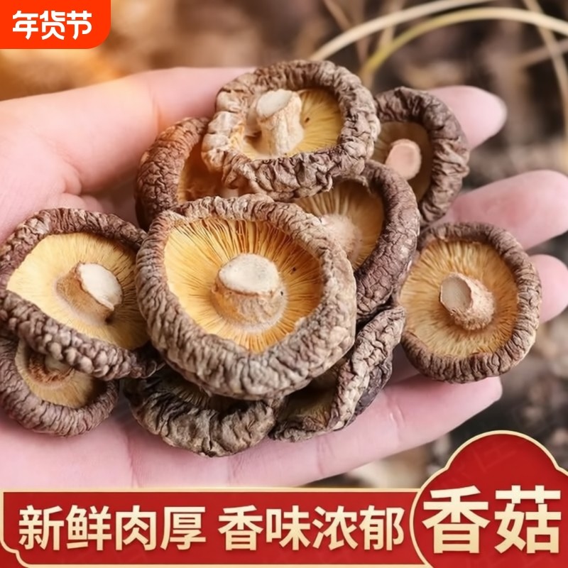 香菇干货商用新鲜古田干香菇小冬菇蘑菇香茹菇味浓厚精选年货节