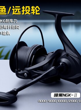 黑武士远投轮轻量化5+1轴承海钓