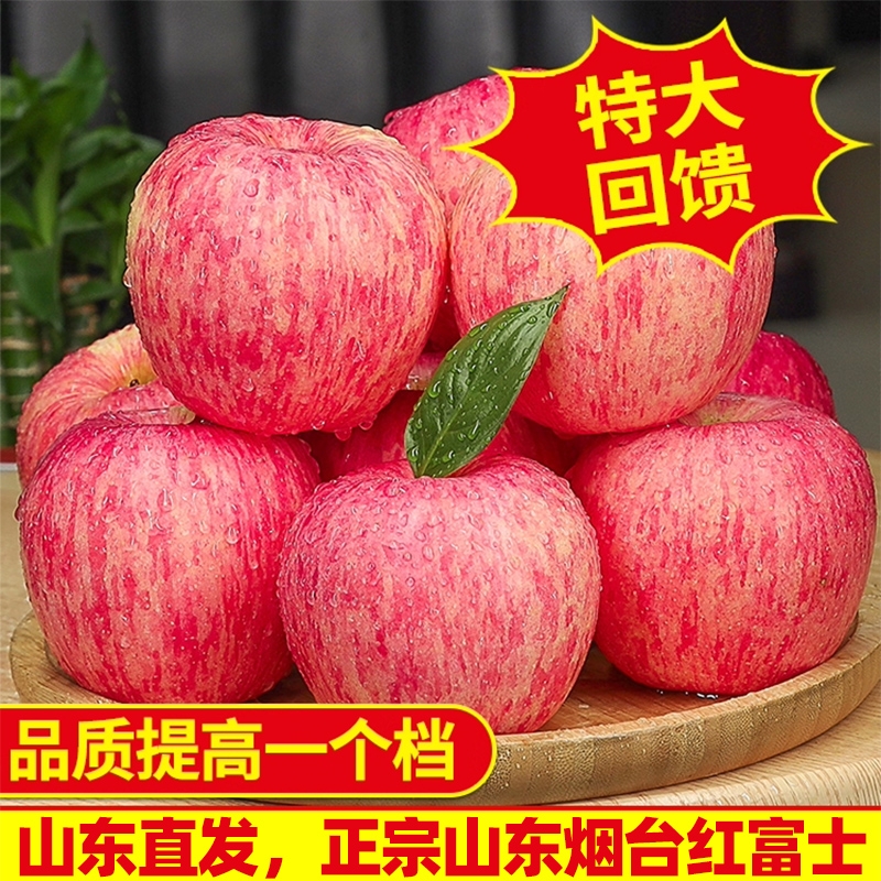 正宗山东烟台红富士苹果产地直发