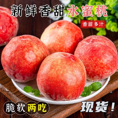 现货水蜜桃新鲜水果当季脆甜桃子整箱现摘大桃子时令香甜毛桃果园