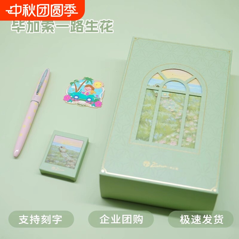 毕加索小清新高颜值套装钢笔